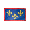 ANJOU - Drapeau 90x150cm avec Oeillets