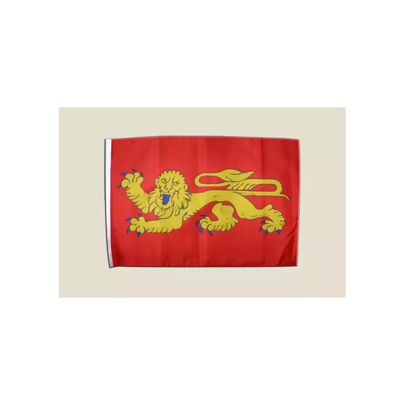 AQUITAINE - Drapeau 30x45cm avec Ourlet