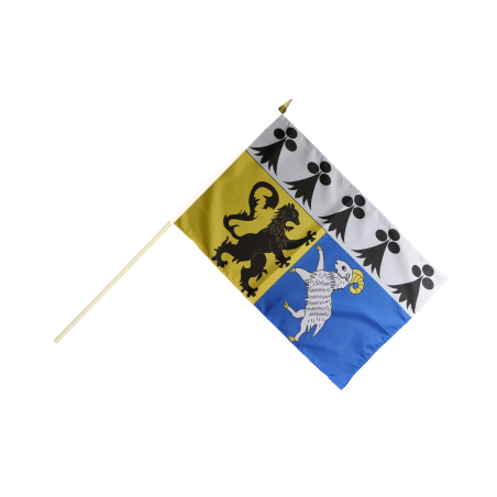 BRETAGNE Dept Finistère - Drapeau 30x45cm avec Hampe Bois