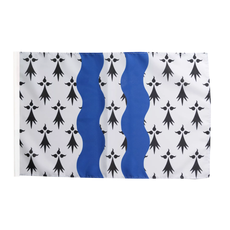 BRETAGNE Dept Ille-et-Vilaine - Drapeau 30x45cm avec Ourlet