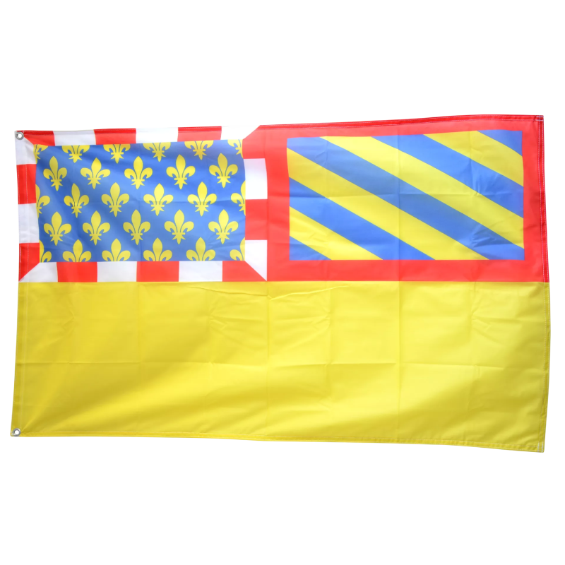 CÔTE D'OR - Drapeau 90x150 cm avec 2 Oeillets