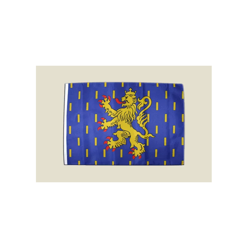 Drapeau de la Franche-Comté 30x45cm Avec Ourlet