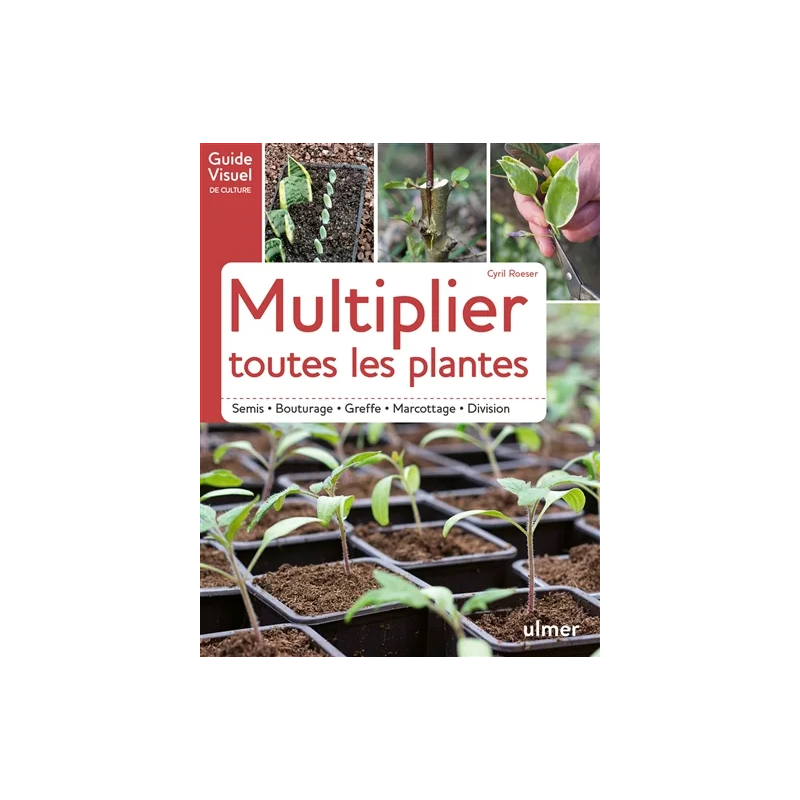 Multiplier toutes les plantes : semis, bouturage, greffe