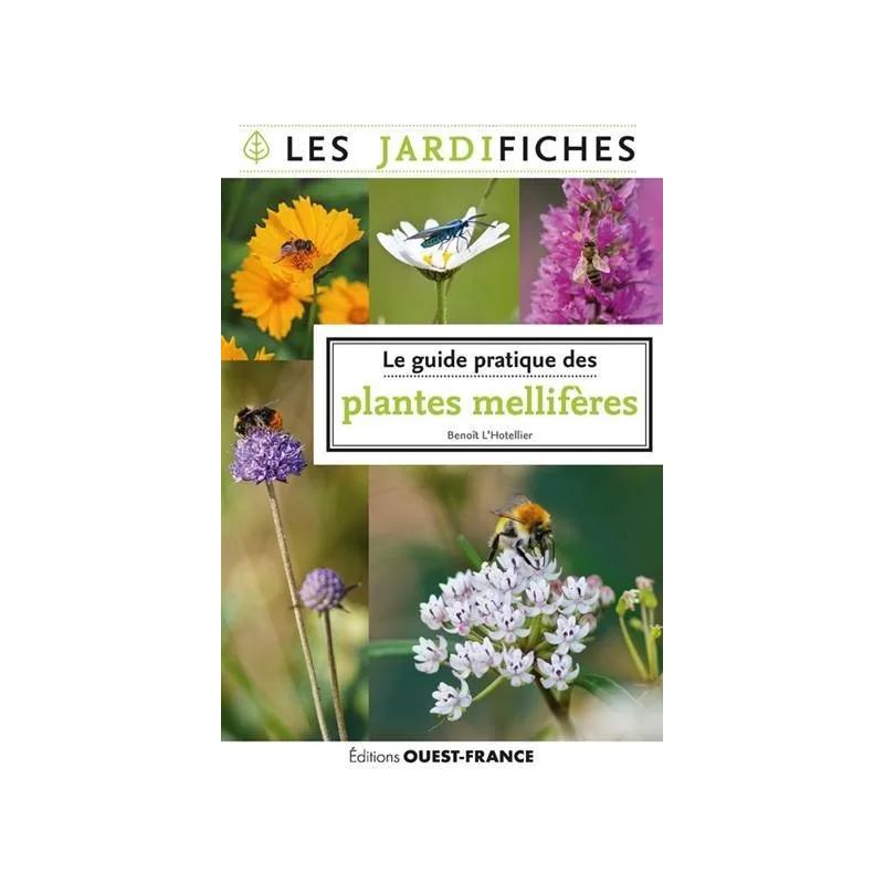 Le guide pratique des plantes mellifères