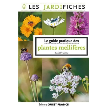 Le guide pratique des plantes mellifères