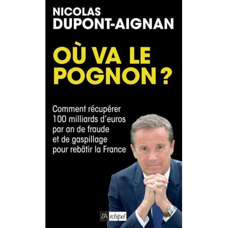 Où va le pognon ? : comment récupérer 100 milliards d'euros